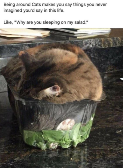 1700412474258.png