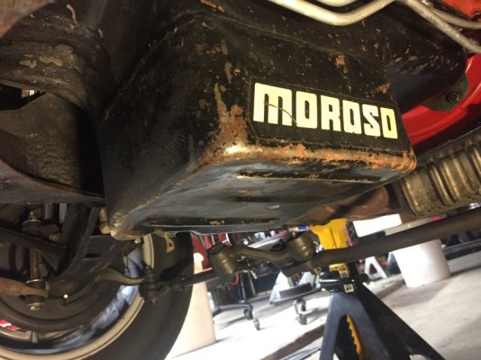 IMG_7760.jpeg IMG_7760.jpeg