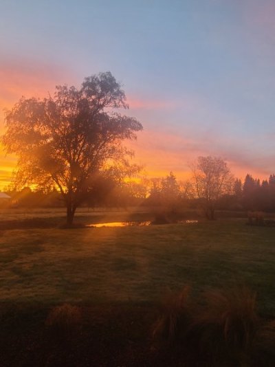 20231121_070536.jpg
