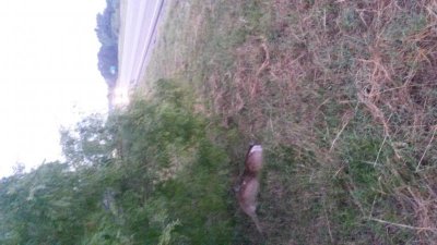 20140612_062429.jpg