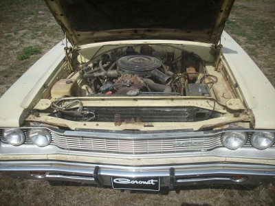 coronet 006.jpg coronet 006.jpg