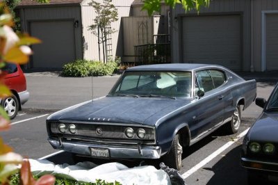 66 charger 3.jpg