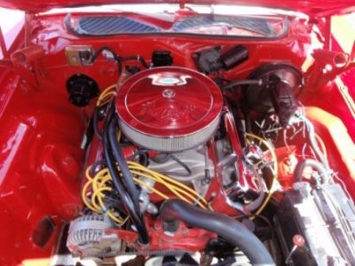 P8220535.JPG P8220535.JPG