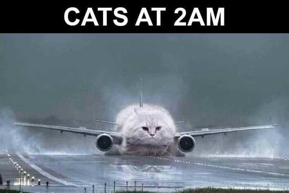 1701147197129.png