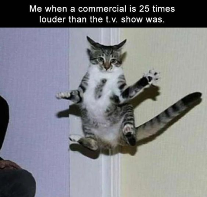 1701274969170.png