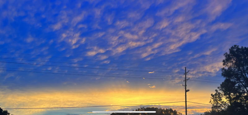 2262AB35-4845-406B-B975-C357B6D41374.png