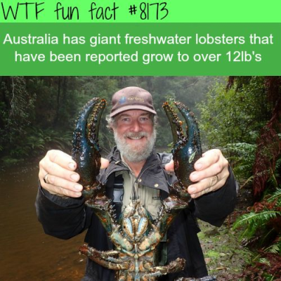 1701464292321.png