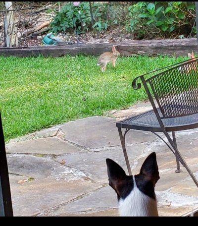 Screenshot_20231208_073319.jpg Screenshot_20231208_073319.jpg