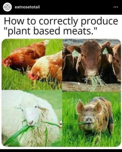 4D1DF87C-6E3E-4B70-A331-C58B53CB6F1E.jpeg