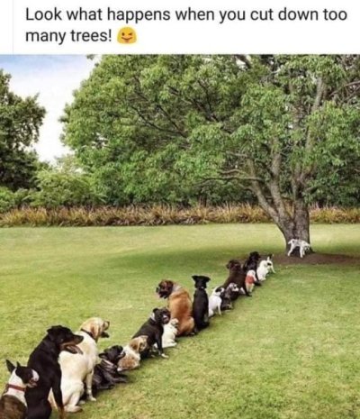 00 Long Line.jpg
