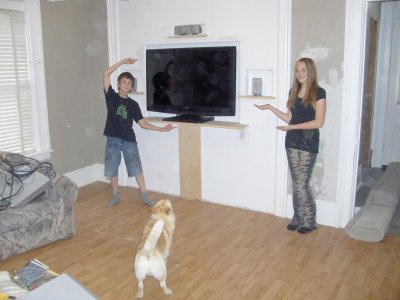 Entertainment wall 2 003.jpg