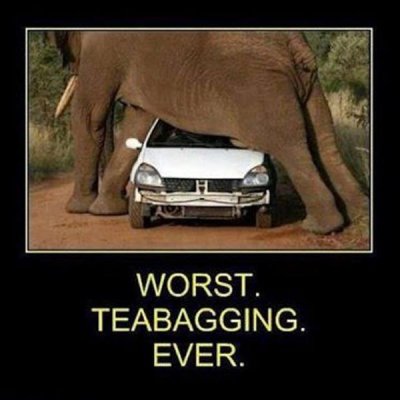 teabag.jpg