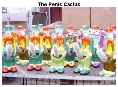 cactus.jpg