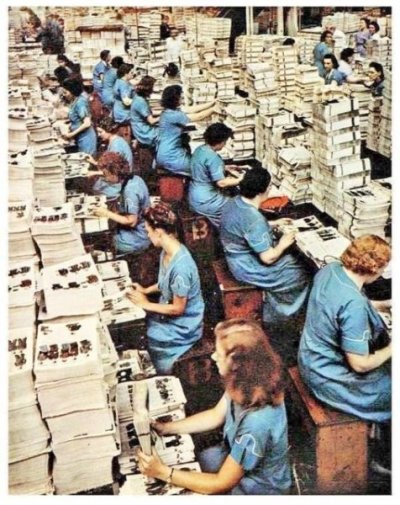 406493553_845653577570718_3729124907909959944_n.jpg