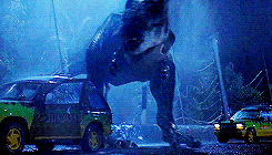 165091.gif