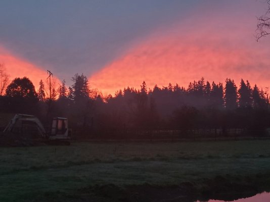 20231209_072909.jpg