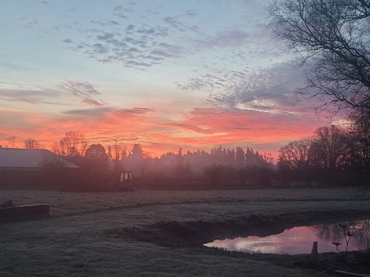 20231215_072527.jpg