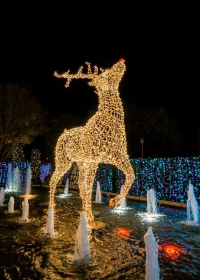 Enchant-Lights-2-730x1024.jpg