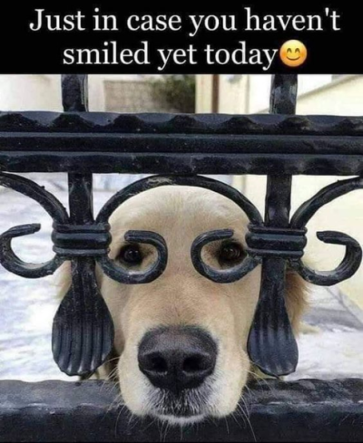 1702927043602.png