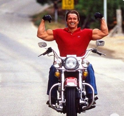 Arnold 3.jpeg