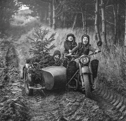 0000 Christmas Tree Fun c.jpg