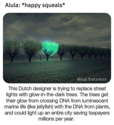 1703267145389.png