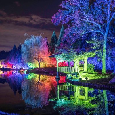 gardenglow_Dave-Parrish_2022.jpg