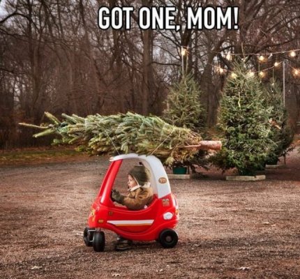 got-one-mom.jpg
