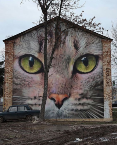 1703362237346.png