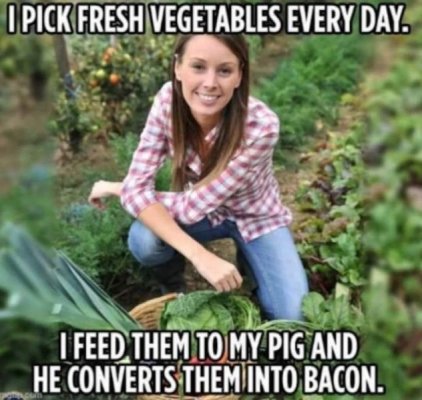 B8277F3B-60FB-4B74-A572-74E6B0D01692.jpeg
