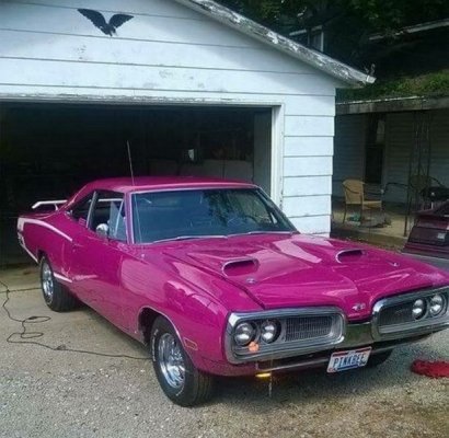 Panther Pink Bee 1970.jpg