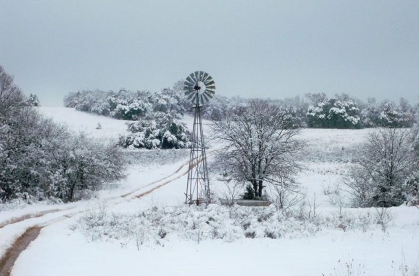 white-christmas.jpg