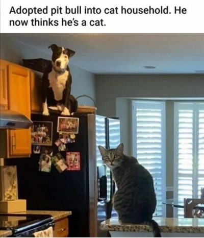 1703394656947.png