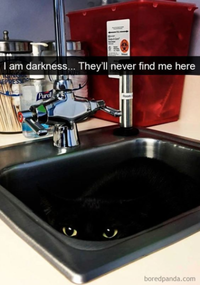1703394690587.png