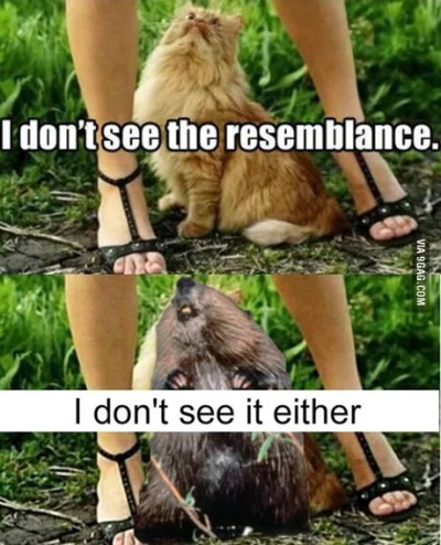 1703529664806.png