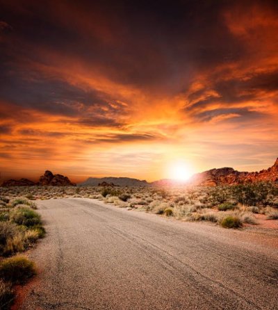 istockphoto-523416701-612x612.jpg