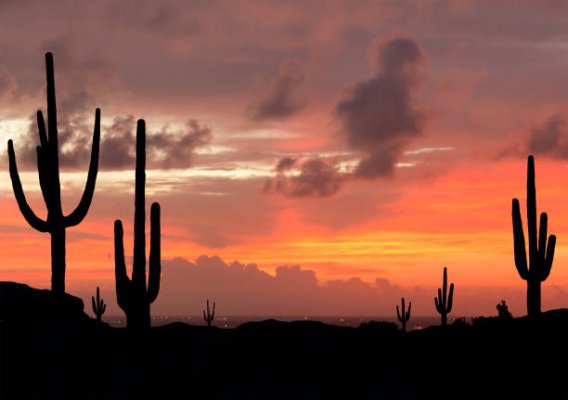 istockphoto-905345618-612x612.jpg