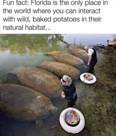 1703655220317.png