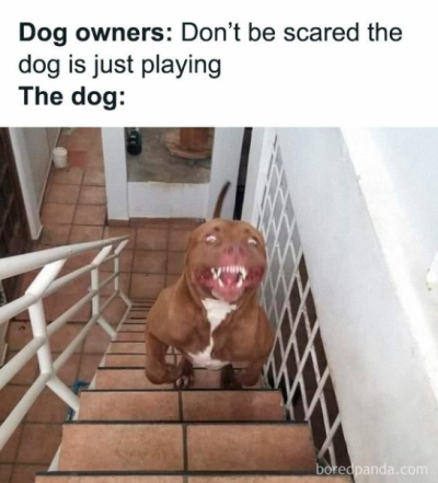 1703792471894.png