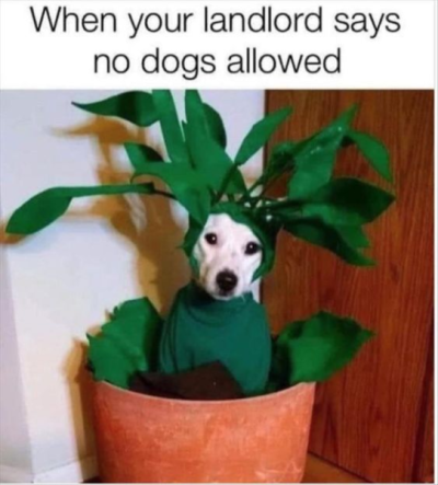 1703792498584.png