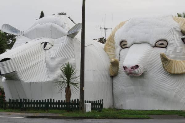 images-5.jpeg images-5.jpeg