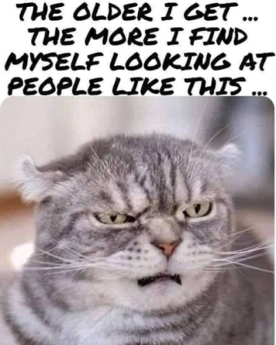 1703882414777.png