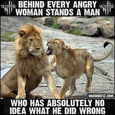 1703882464094.png