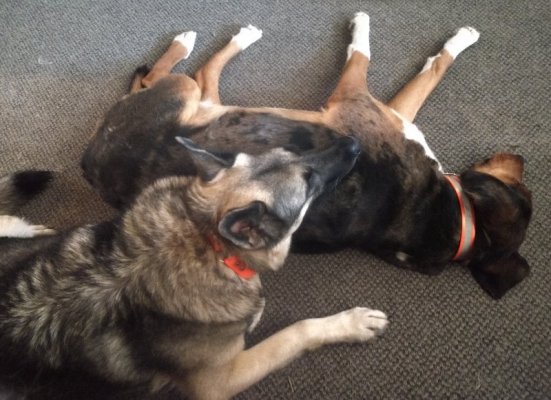 IMG_20220326_124341968~2.jpg IMG_20220326_124341968~2.jpg