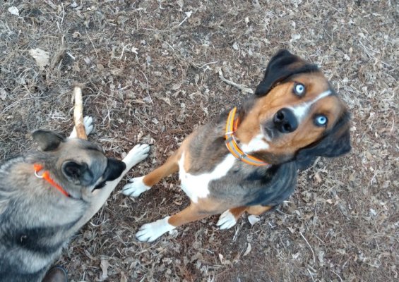 IMG_20201217_163840904.jpg IMG_20201217_163840904.jpg