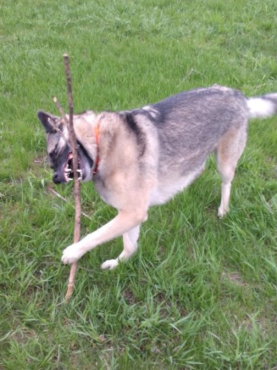 IMG_20220514_200351918.jpg IMG_20220514_200351918.jpg