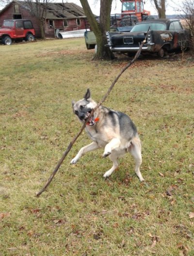 IMG_20201109_151455525.jpg IMG_20201109_151455525.jpg