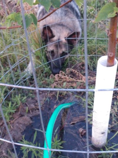 IMG_20220718_211321883.jpg IMG_20220718_211321883.jpg