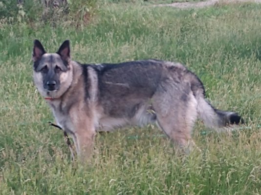 IMG_20220627_205525729.jpg IMG_20220627_205525729.jpg