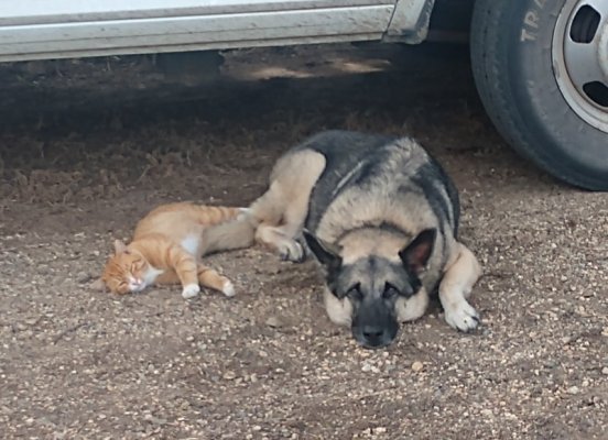 IMG_20230816_154538529~2.jpg IMG_20230816_154538529~2.jpg